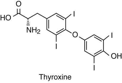 molecular diagram: thyroxine