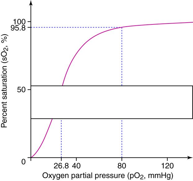 oxygen partial pressure and percentage curve