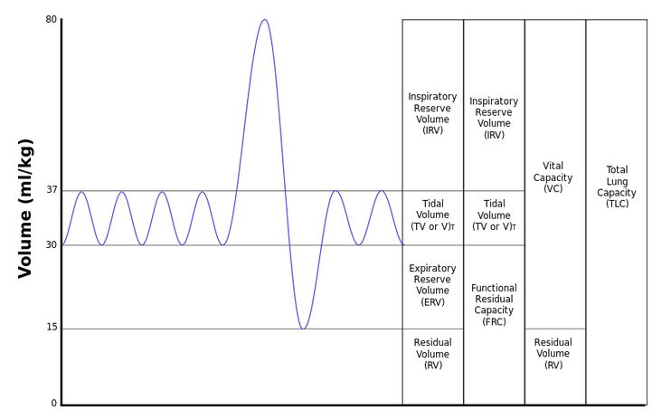 spirometry graph